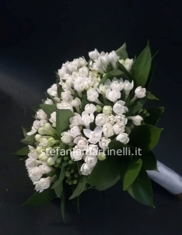 Bouquet bovardia bianca