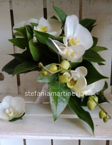 Bouquet orchidea bianca (su ordinazione di 7 giorni)