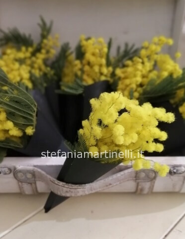7 mazzolini di mimosa