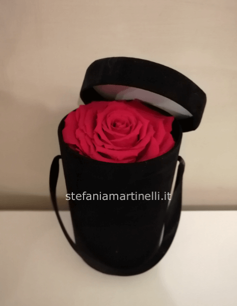 Box velluto con rosa stabilizzata