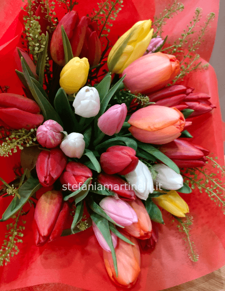 tulipani misti
